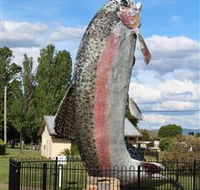 Big Trout - Goulburn Accommodation