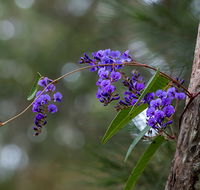 Mann River Nature Reserve - Goulburn Accommodation