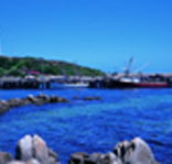 King Island Dairies - Goulburn Accommodation