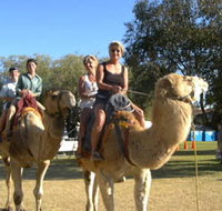 Calamunnda Camel Farm  - Goulburn Accommodation