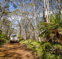 Barrington trail - Goulburn Accommodation