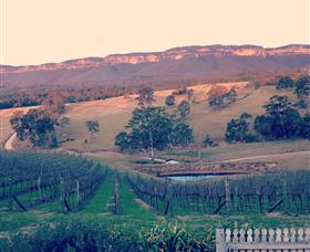 Dryridge Estate - Goulburn Accommodation 0