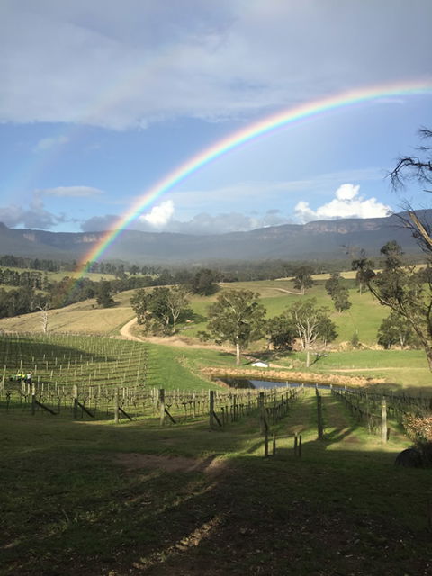 Dryridge Estate - Goulburn Accommodation 4