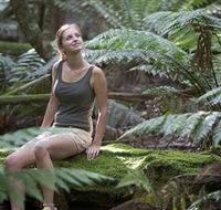 Barrington Tops National Park - Honeysuckle Forest Track - Goulburn Accommodation