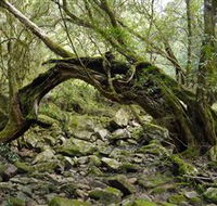 Mitchell River National Park - Goulburn Accommodation