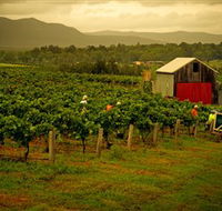 Around Hermitage Wine and Food Trail Hunter Valley - Goulburn Accommodation