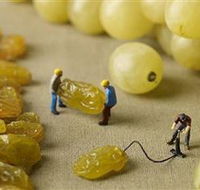 Hunter Valley Wine School - Goulburn Accommodation
