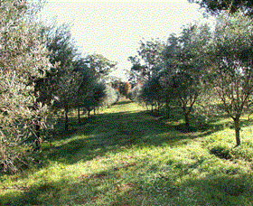 Langdale Farm - Goulburn Accommodation