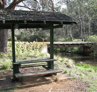 Barrington Tops State Forest - Goulburn Accommodation