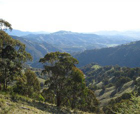 Barrington Tops State Forest - Goulburn Accommodation 2