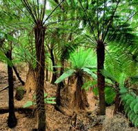 Pegarah Private Nature Reserve  Parenna Place - Goulburn Accommodation