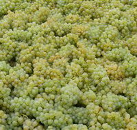 Normanby Wines - Goulburn Accommodation
