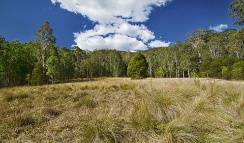 Brush Turkey Track - Goulburn Accommodation 1