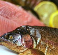 Lovedale Smokehouse Gourmet Pantry Cafe and Masterclasses - Goulburn Accommodation