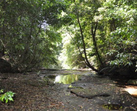 State Forests Of The Watagan Mountains - Goulburn Accommodation 1