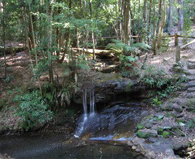 State Forests Of The Watagan Mountains - Goulburn Accommodation 3