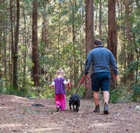 Olney State Forest - Watagan Mountains - Goulburn Accommodation