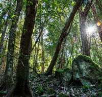 Copeland Tops State Conservation Area - Goulburn Accommodation