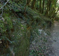Hidden Treasure track - Goulburn Accommodation