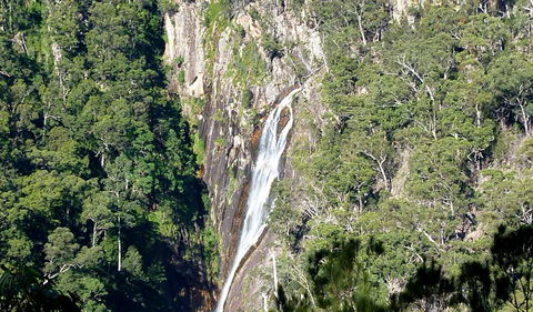 Carrai National Park - Goulburn Accommodation 0