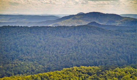 Murray Scrub Lookout - Goulburn Accommodation 1