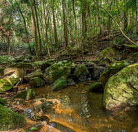 Palm Grove Nature Reserve - Goulburn Accommodation