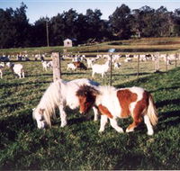 Trudgalong Farm - Goulburn Accommodation