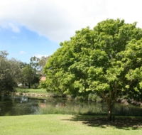 Hervey Bay Botanic Gardens - Goulburn Accommodation