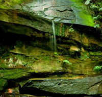 Strickland State Forest - Goulburn Accommodation