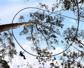 TreeTops Crazy Rider - Goulburn Accommodation 0