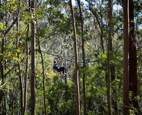 TreeTops Crazy Rider - Goulburn Accommodation 3