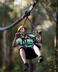TreeTops Crazy Rider - Goulburn Accommodation 2