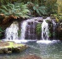 Barrington Tops National Park Walks - Goulburn Accommodation