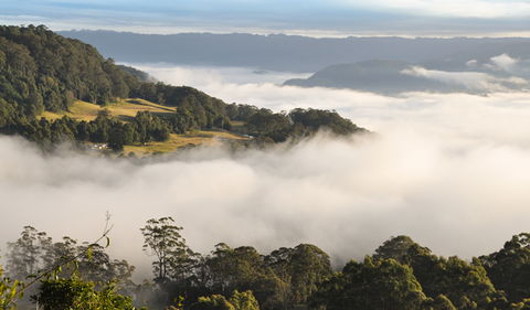 Cambewarra Range Nature Reserve - Goulburn Accommodation 0