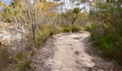 Cambewarra Range Nature Reserve - Goulburn Accommodation 1