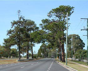 Anzac Memorial Avenue, Redcliffe - Goulburn Accommodation 2