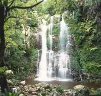 Budderoo National Park - The Falls Walk - Goulburn Accommodation