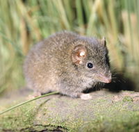 Munmorah State Conservation Area - Goulburn Accommodation