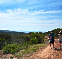 Moonee Beach trail - Goulburn Accommodation