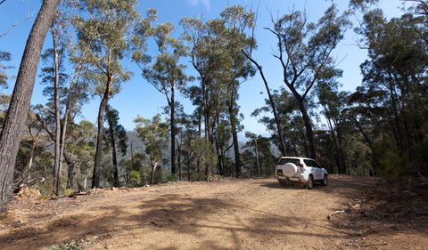 Wadbilliga Road Drive - Goulburn Accommodation 0