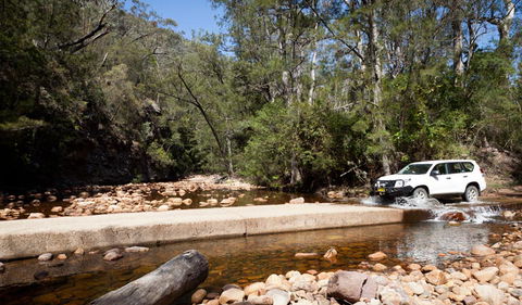 Wadbilliga Road Drive - Goulburn Accommodation 2