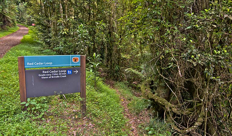 Border Ranges NSW Goulburn Accommodation