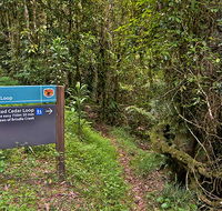 Red Cedar loop - Goulburn Accommodation