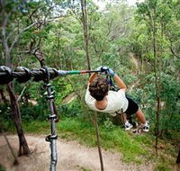 TreeTop Challenge - Goulburn Accommodation