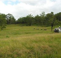 Numinbah Valley Adventure Trails - Goulburn Accommodation