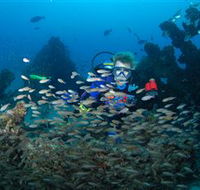 Aarhus Dive Site - Goulburn Accommodation