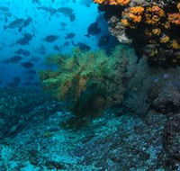 Henderson Rock Dive Site - Goulburn Accommodation
