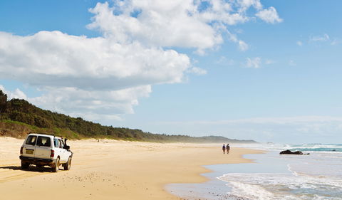 Bongil Bongil National Park - Goulburn Accommodation 0