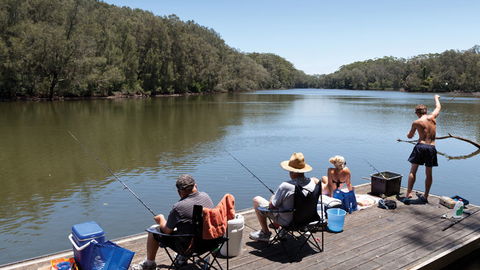 Bongil Bongil National Park - Goulburn Accommodation 1