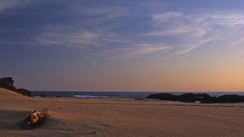 Bongil Bongil National Park - Goulburn Accommodation 2